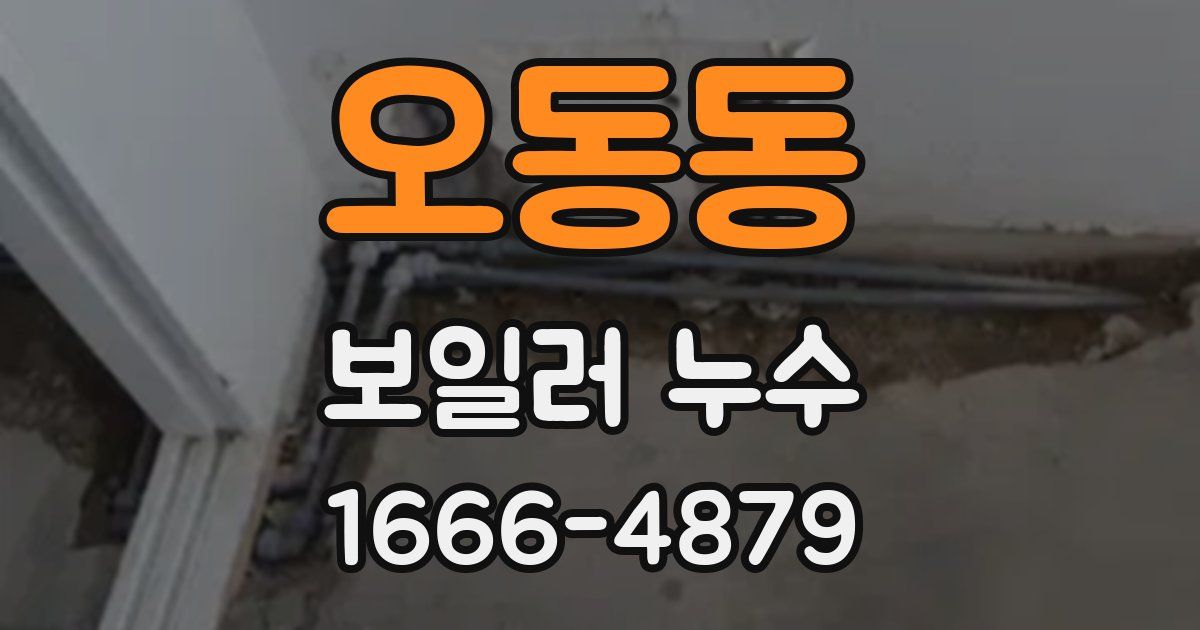 오동동 보일러 누수