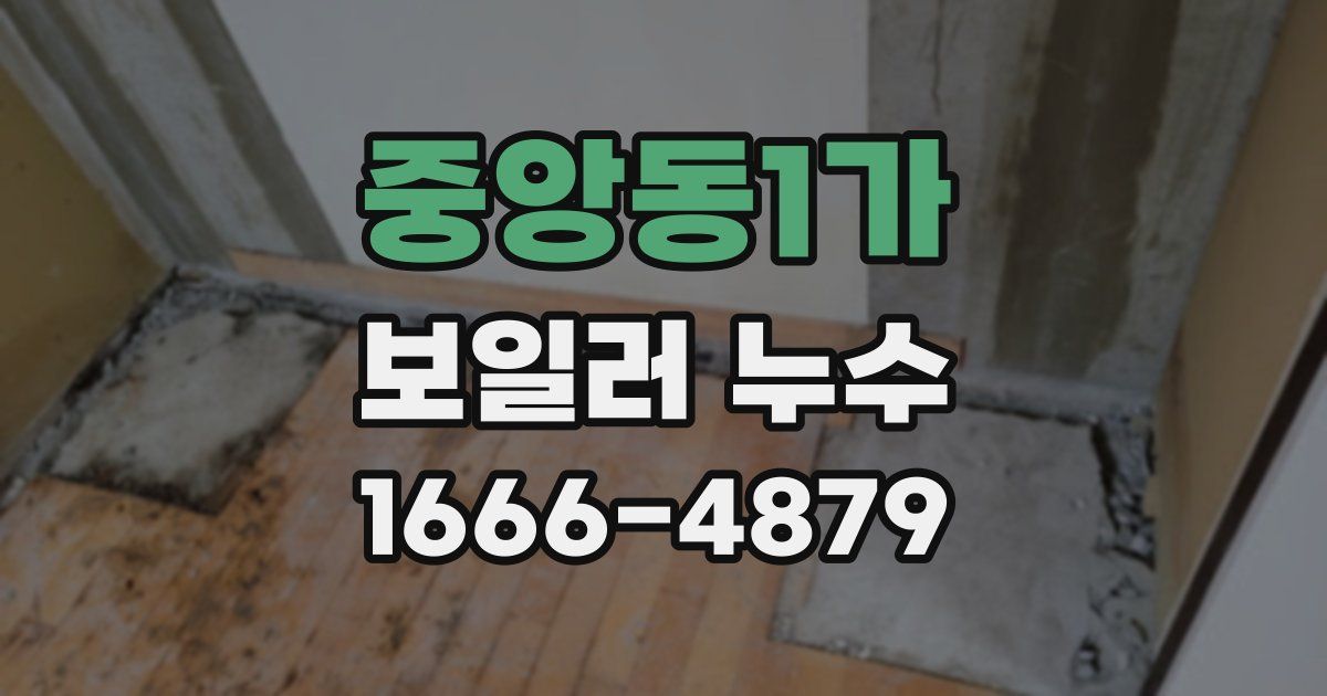 중앙동1가 보일러 누수