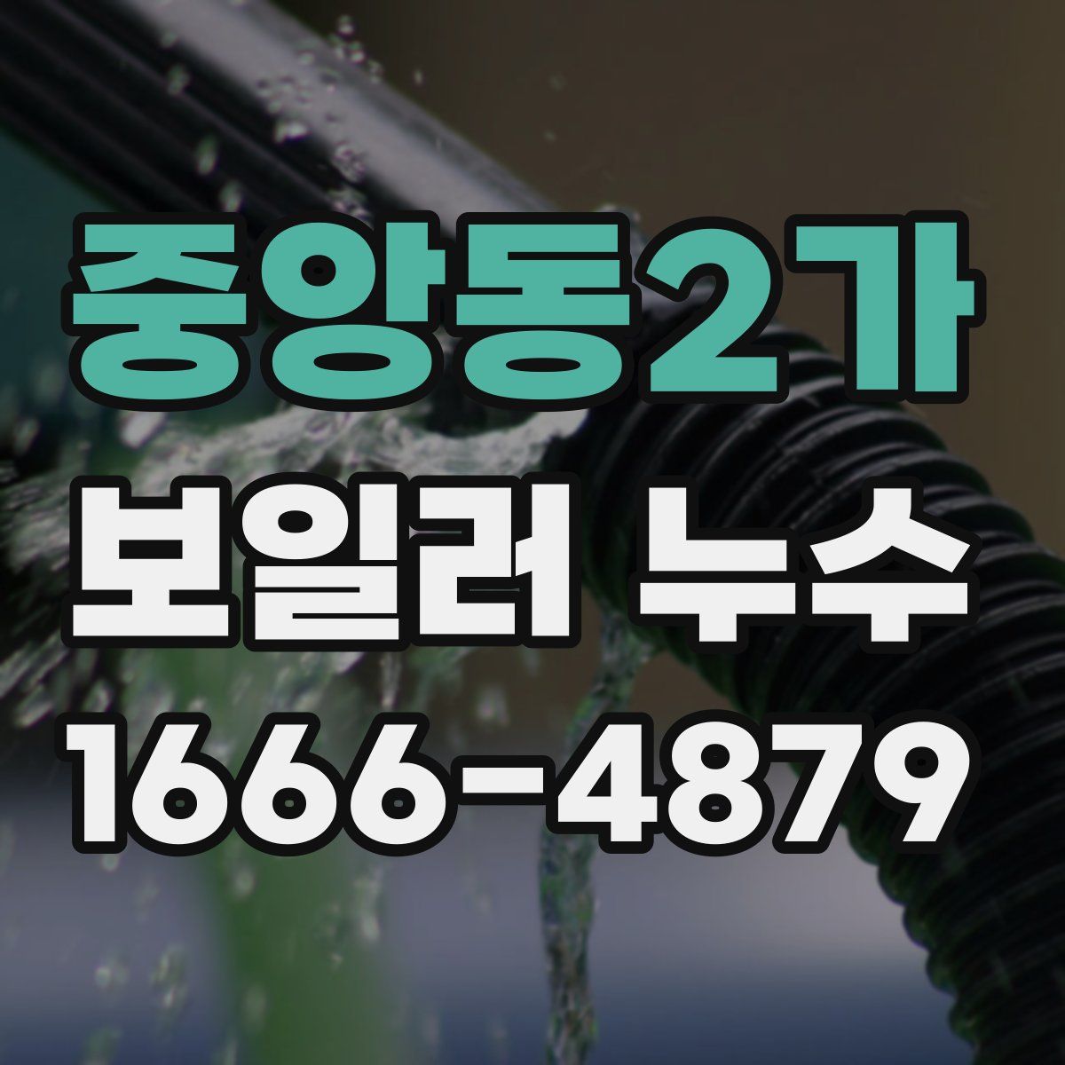 중앙동2가 보일러 누수