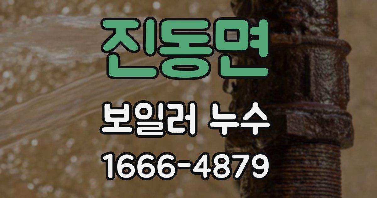 진동면 보일러 누수