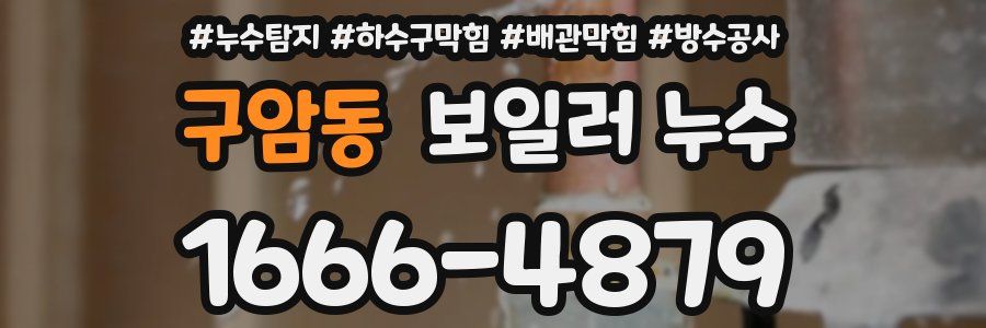 구암동 보일러 누수