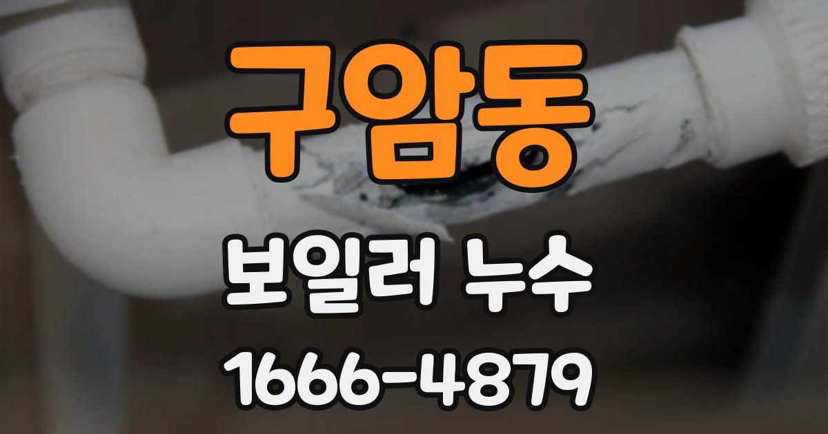 구암동 보일러 누수