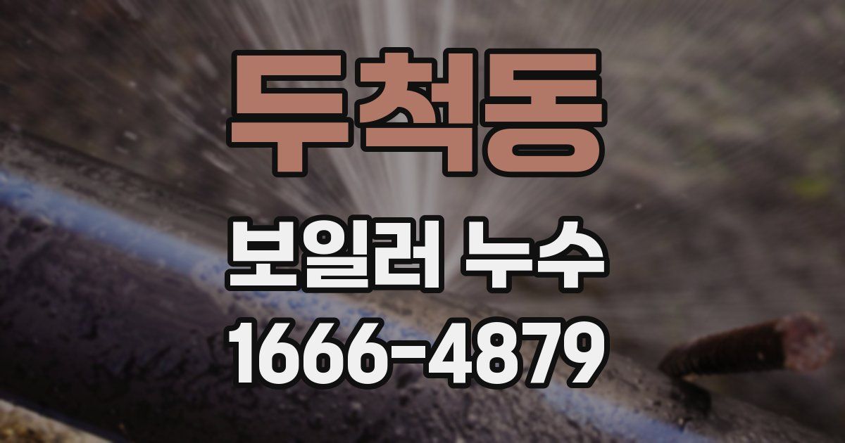 두척동 보일러 누수