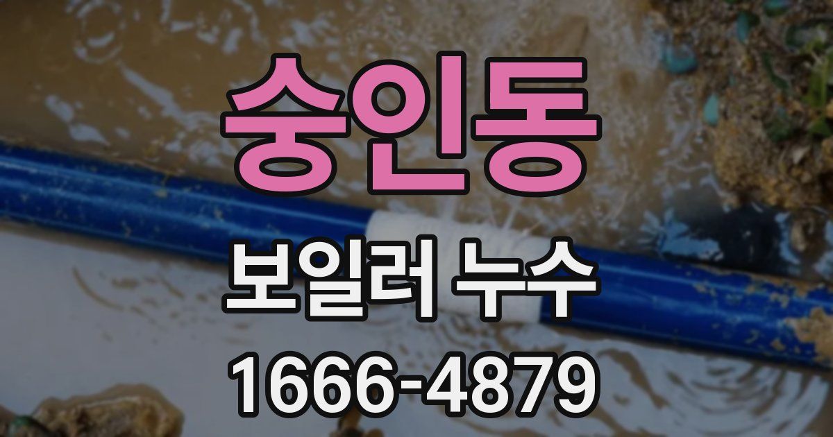 숭인동 보일러 누수