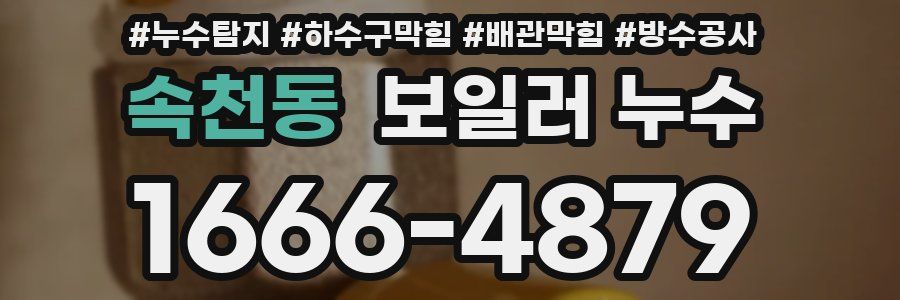 속천동 보일러 누수