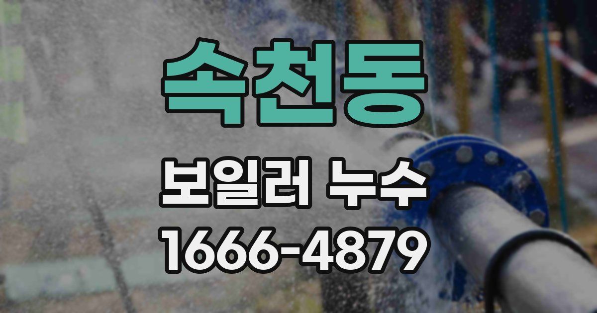 속천동 보일러 누수