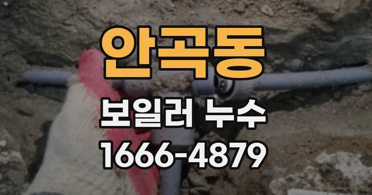 안곡동 보일러 누수