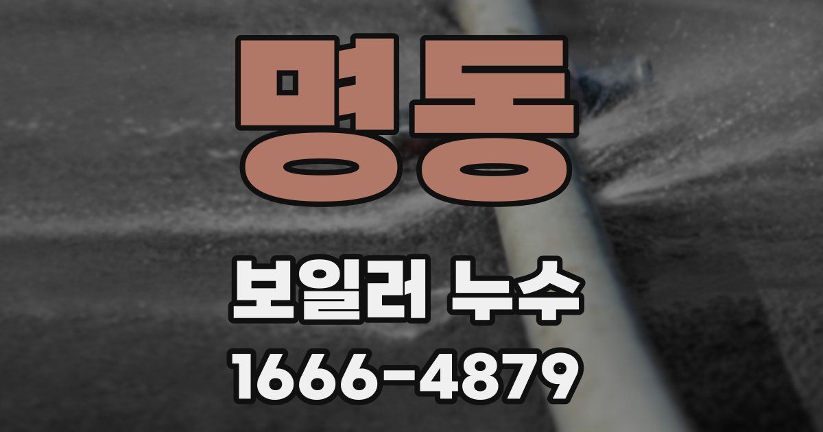 명동 보일러 누수