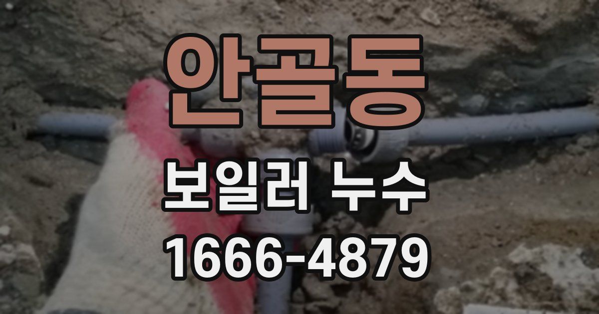 안골동 보일러 누수