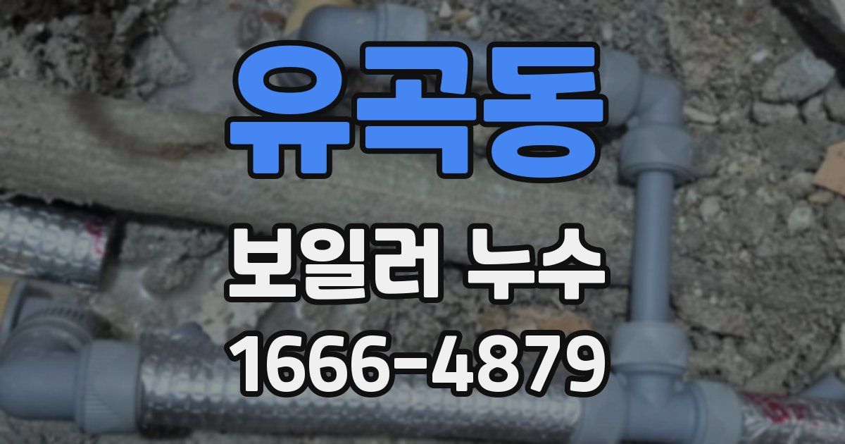 유곡동 보일러 누수
