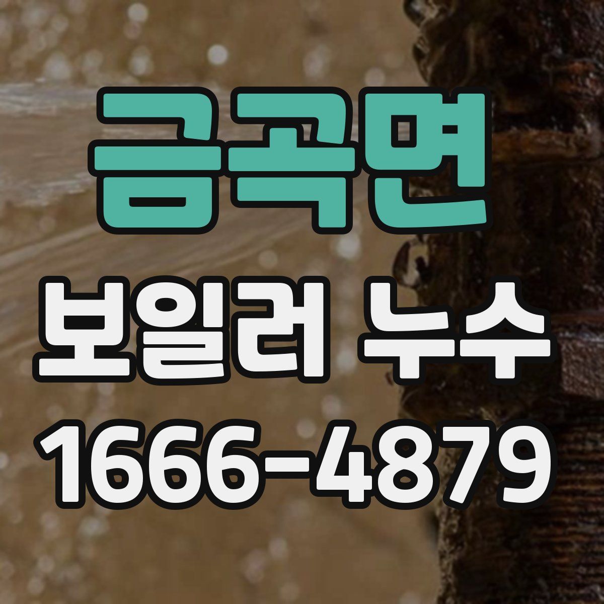 금곡면 보일러 누수