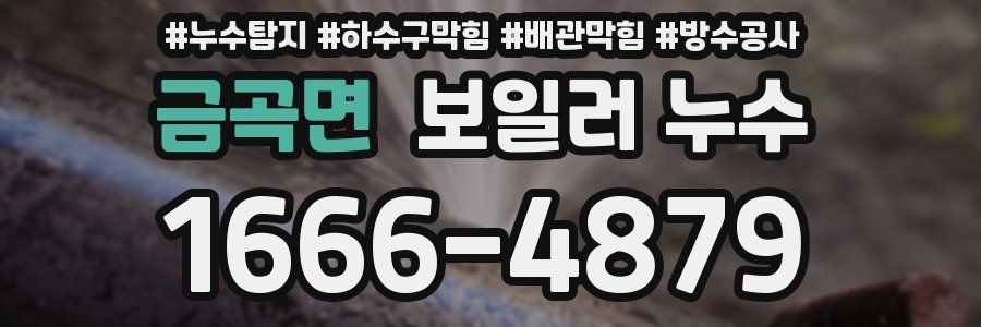 금곡면 보일러 누수