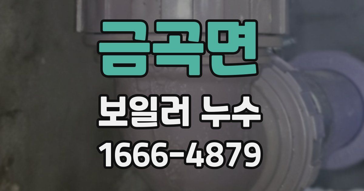 금곡면 보일러 누수