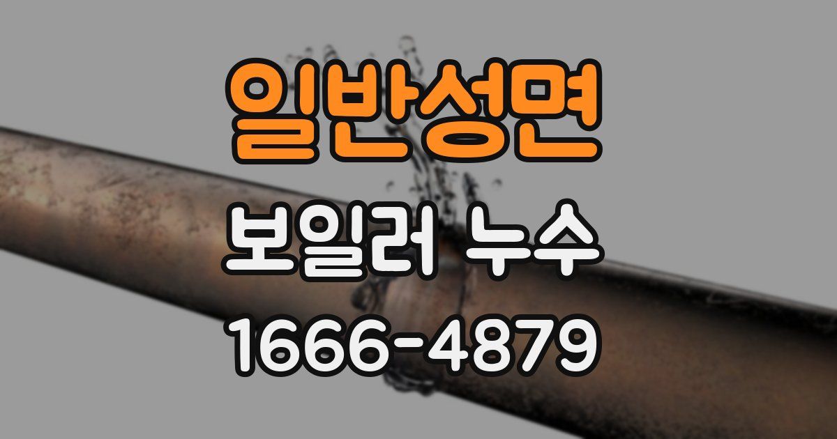 일반성면 보일러 누수
