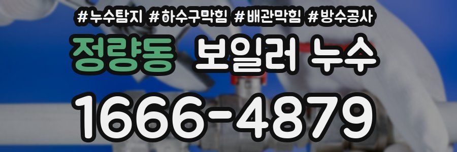 정량동 보일러 누수