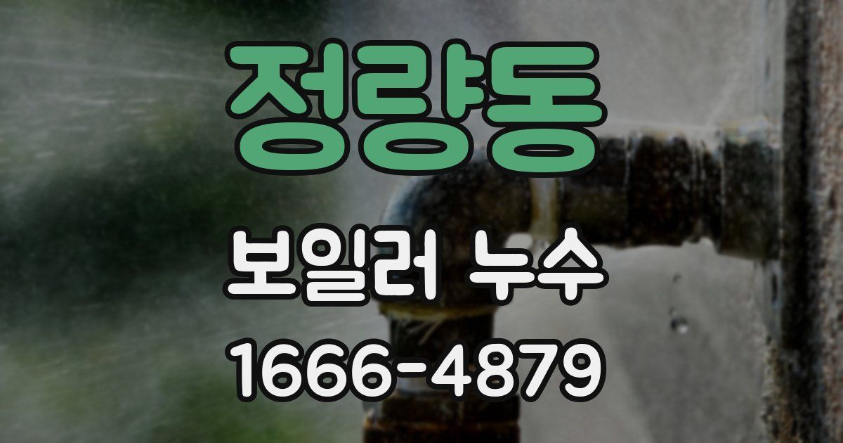 정량동 보일러 누수