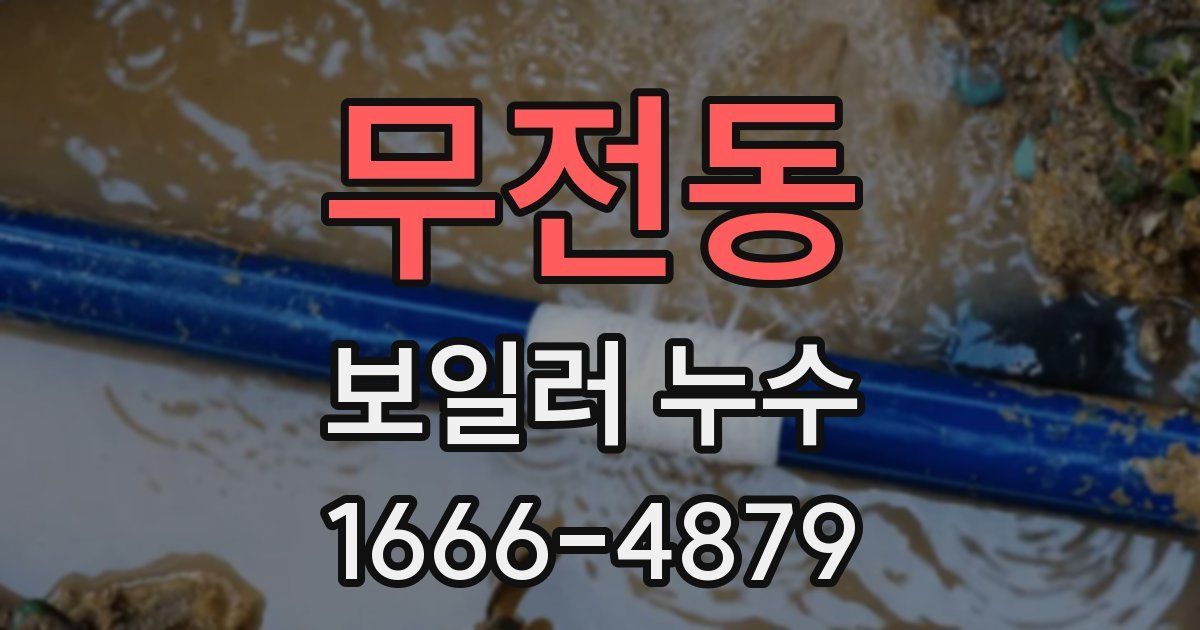 무전동 보일러 누수
