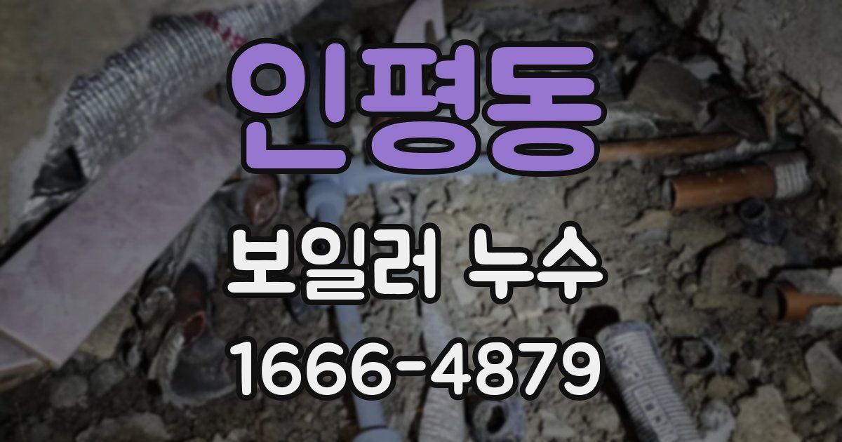 인평동 보일러 누수
