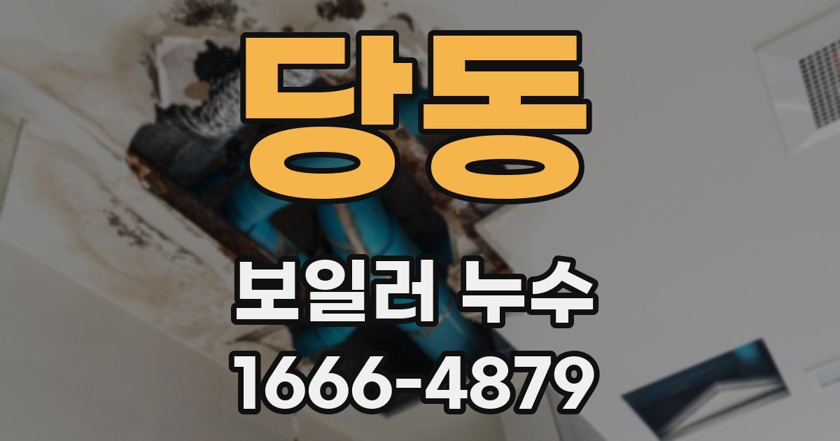 당동 보일러 누수