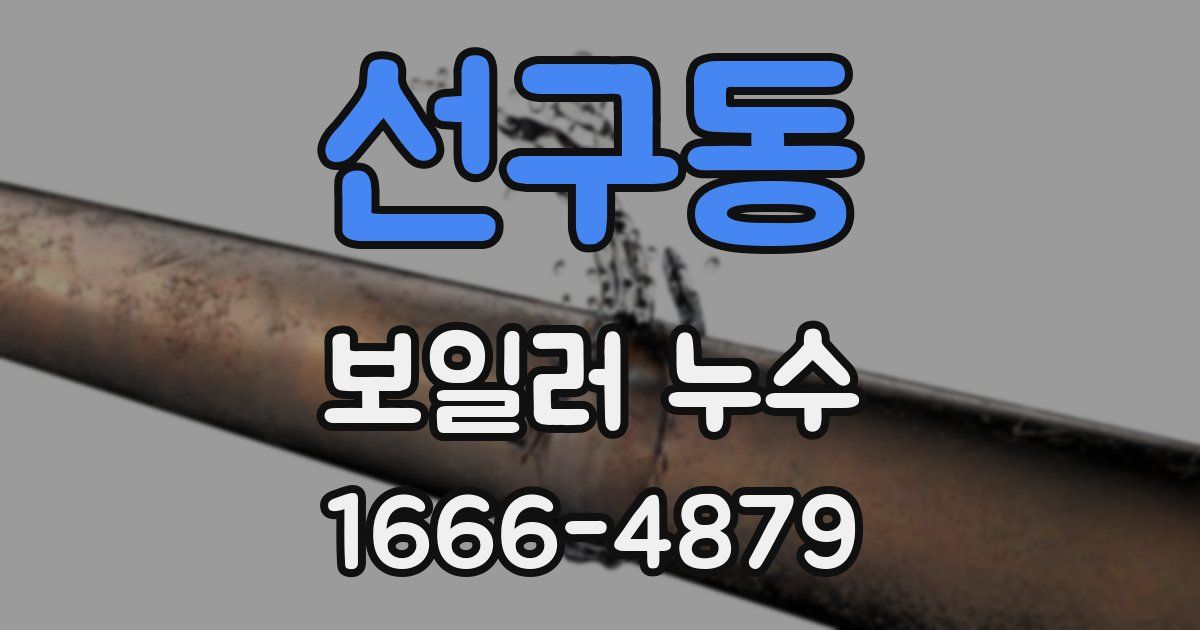 선구동 보일러 누수