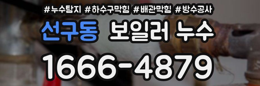 선구동 보일러 누수