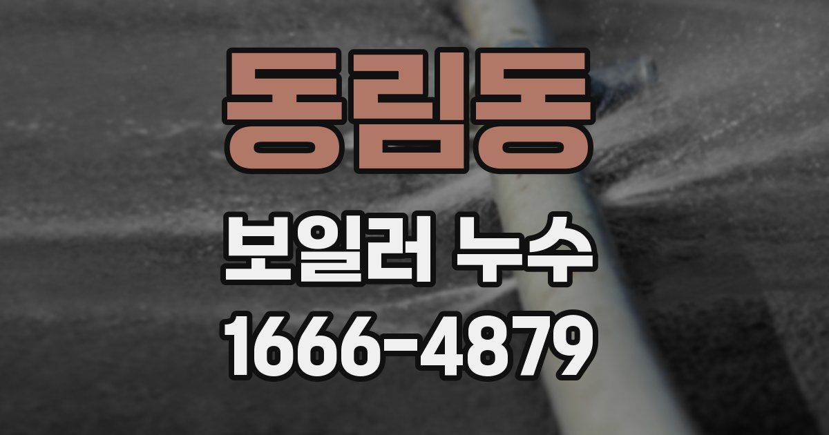 동림동 보일러 누수