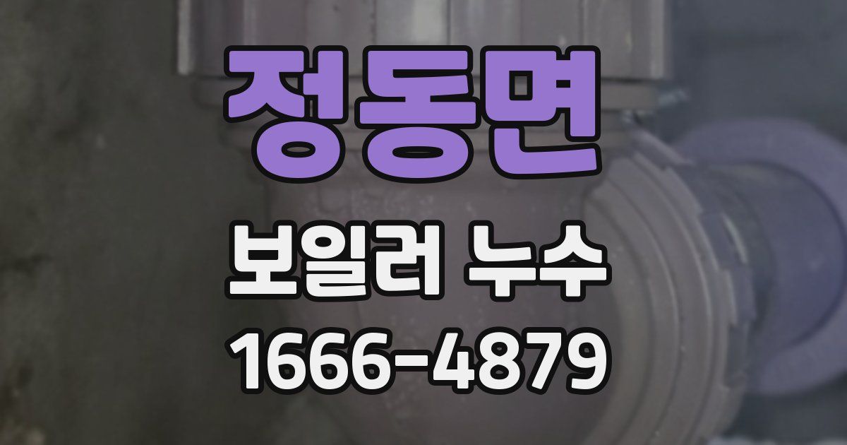 정동면 보일러 누수