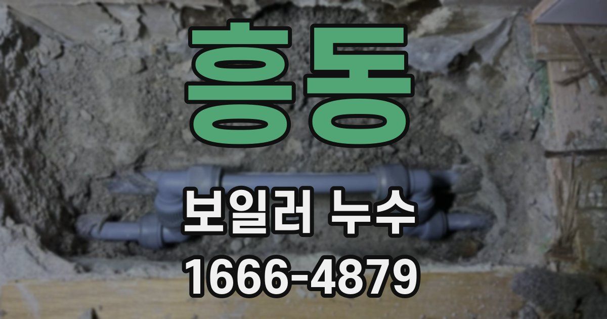 흥동 보일러 누수