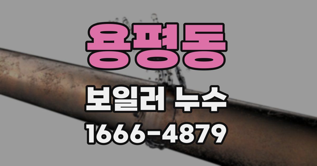 용평동 보일러 누수