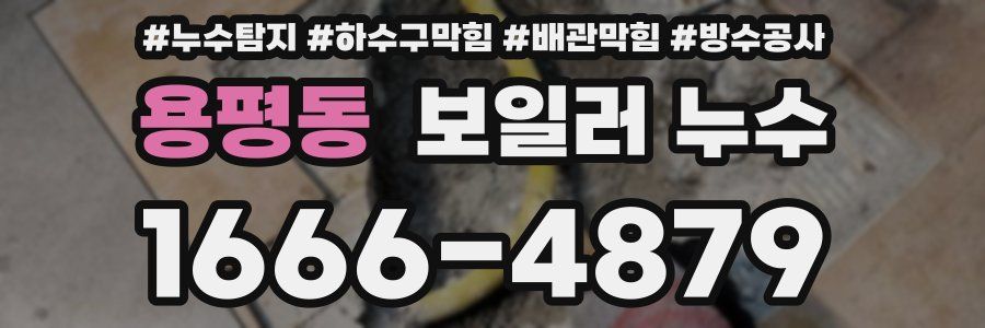 용평동 보일러 누수