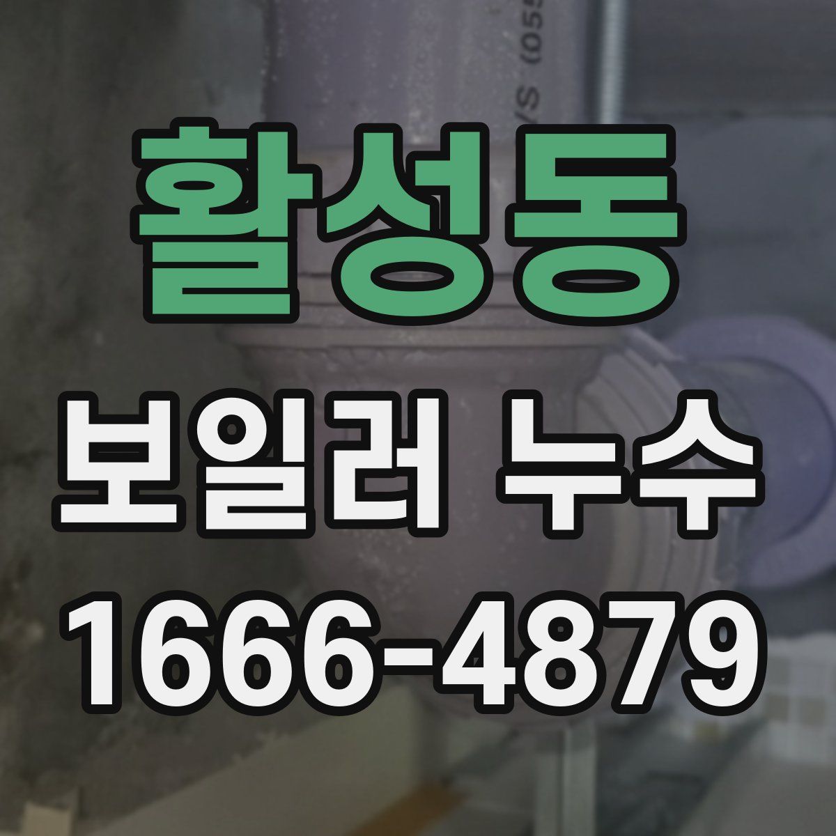 활성동 보일러 누수