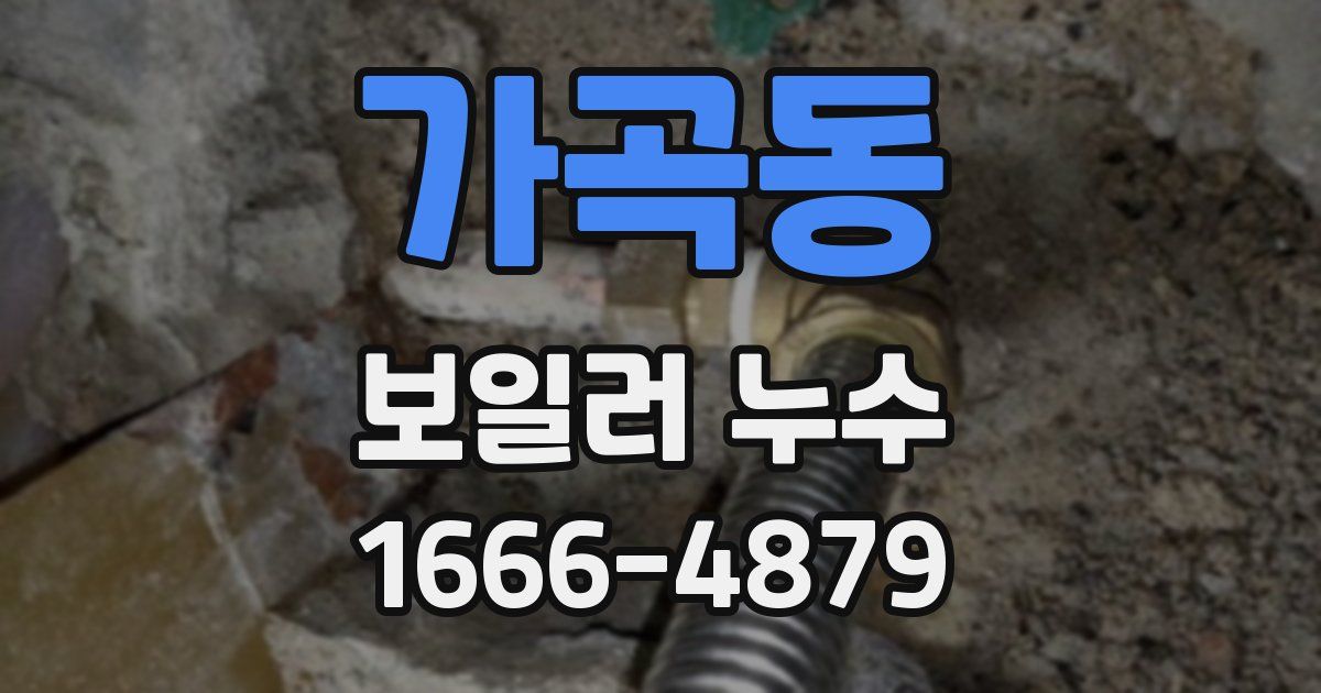 가곡동 보일러 누수
