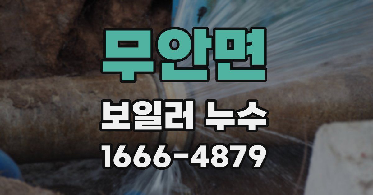 무안면 보일러 누수