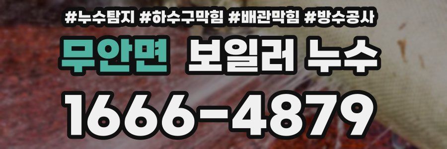 무안면 보일러 누수