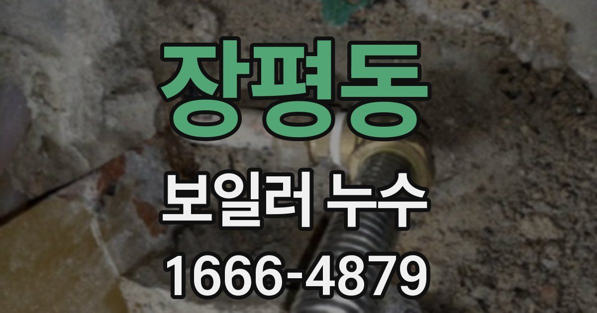 장평동 보일러 누수