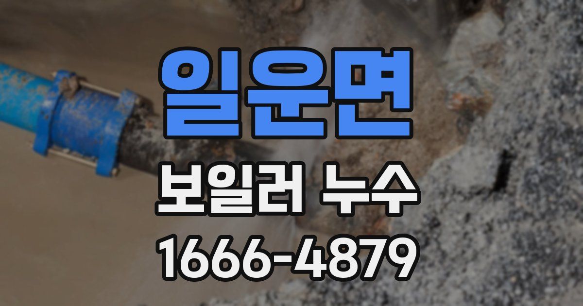 일운면 보일러 누수