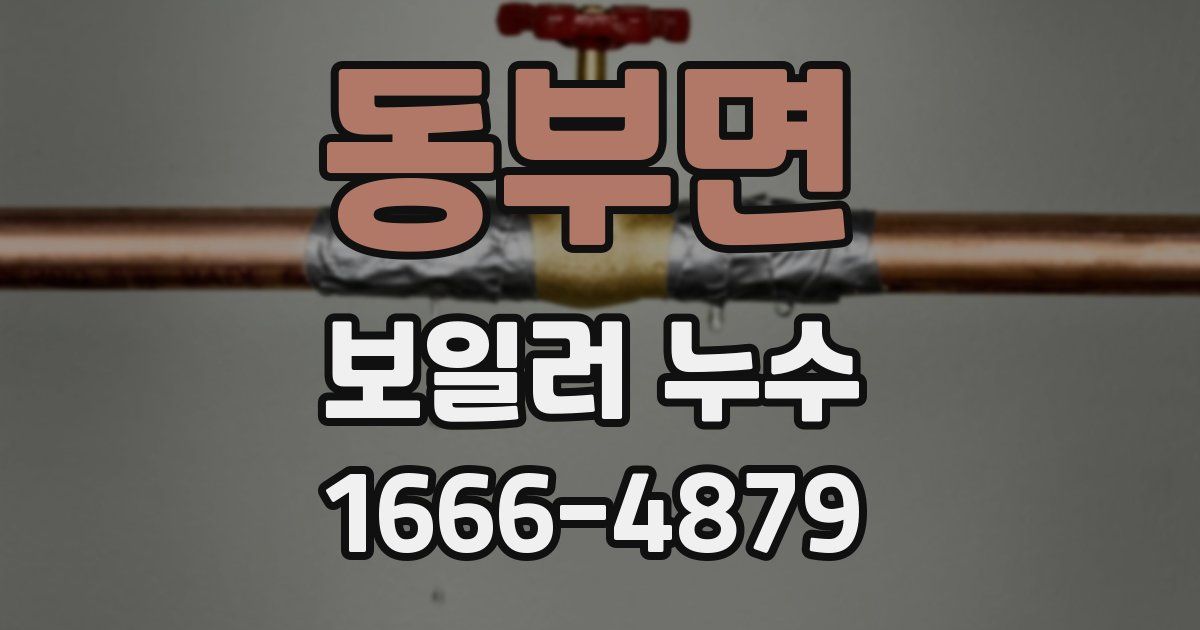 동부면 보일러 누수