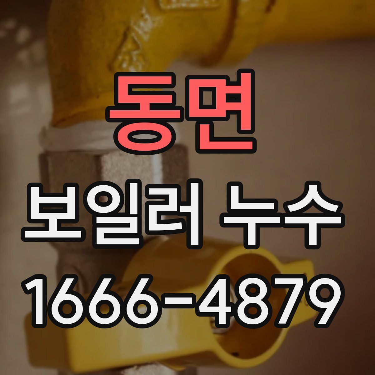 동면 보일러 누수