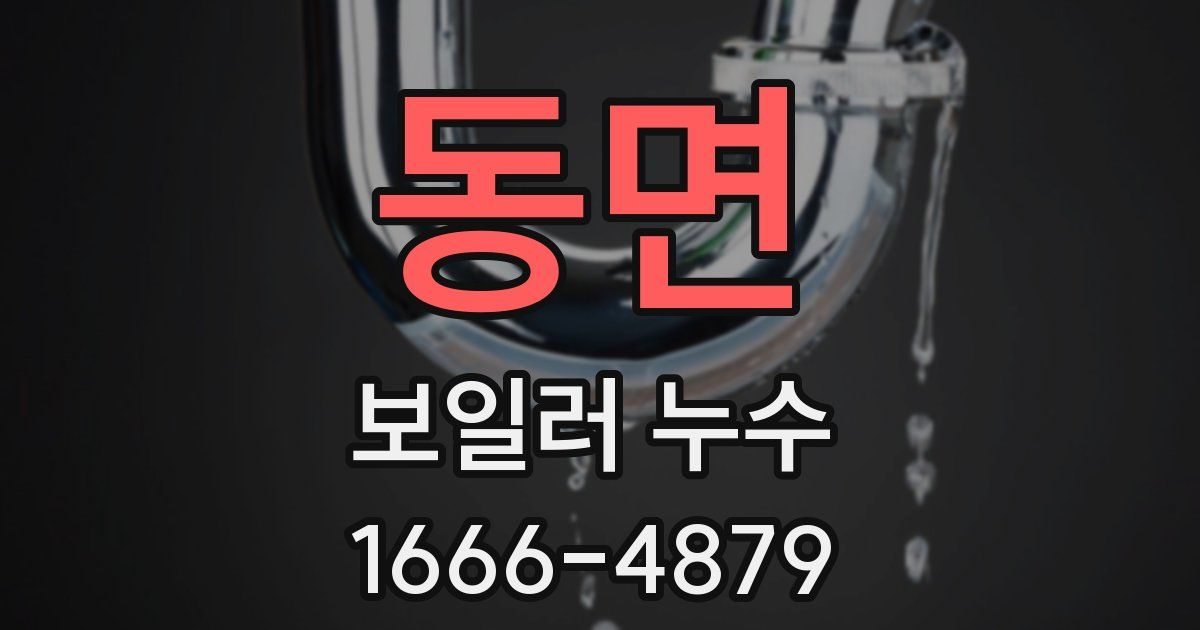 동면 보일러 누수