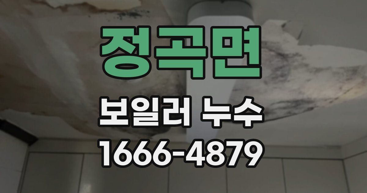 정곡면 보일러 누수