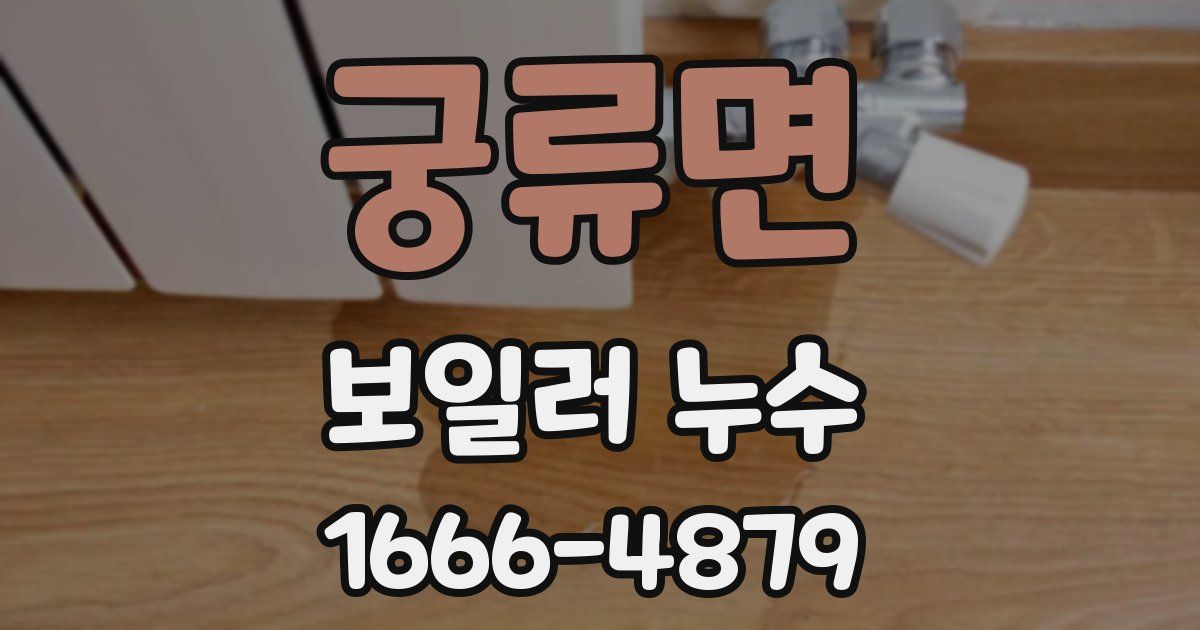 궁류면 보일러 누수