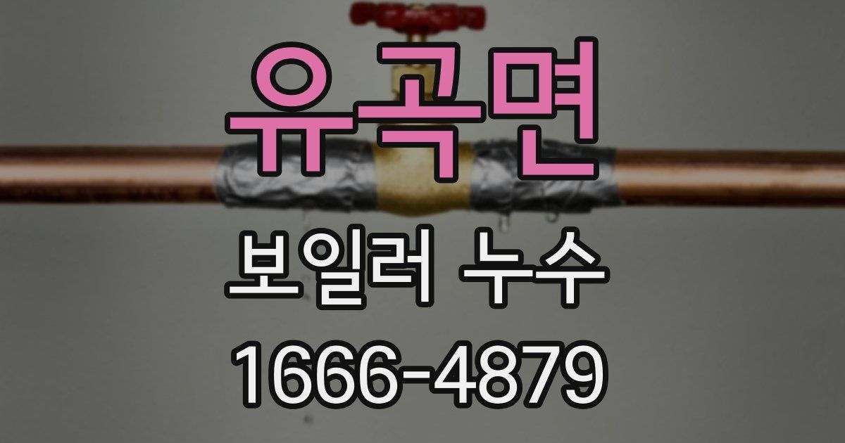 유곡면 보일러 누수