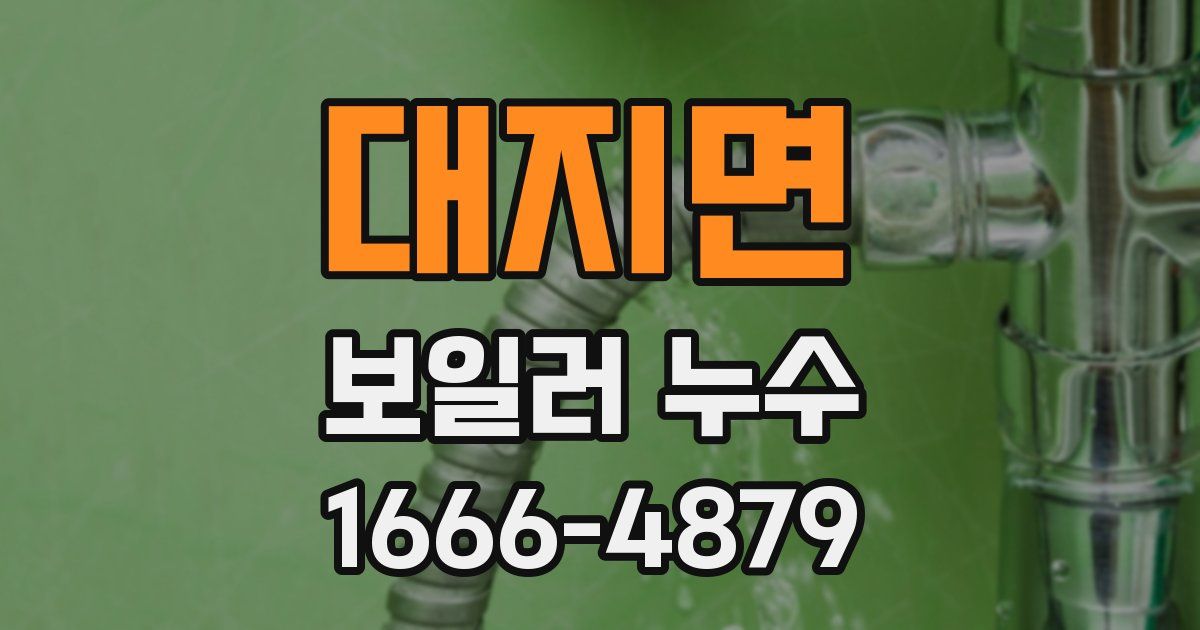 대지면 보일러 누수