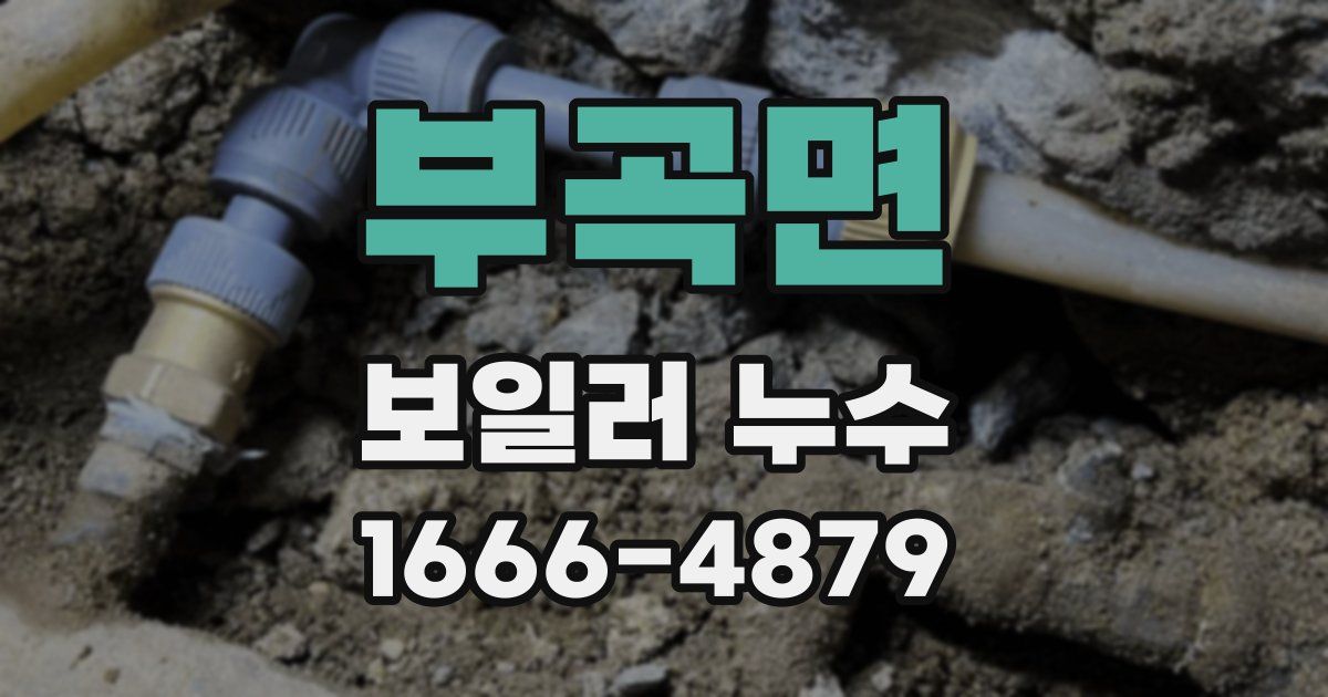 부곡면 보일러 누수