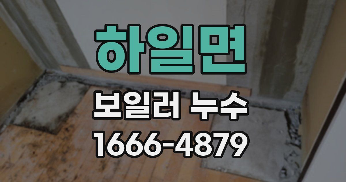 하일면 보일러 누수