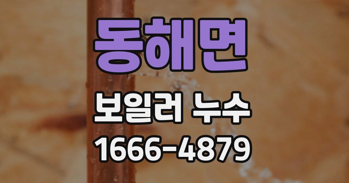 동해면 보일러 누수