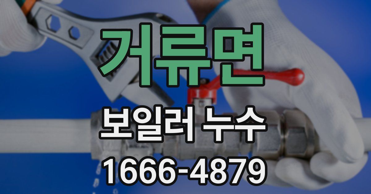 거류면 보일러 누수