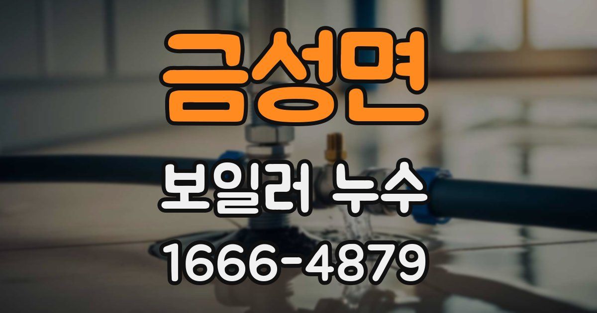 금성면 보일러 누수