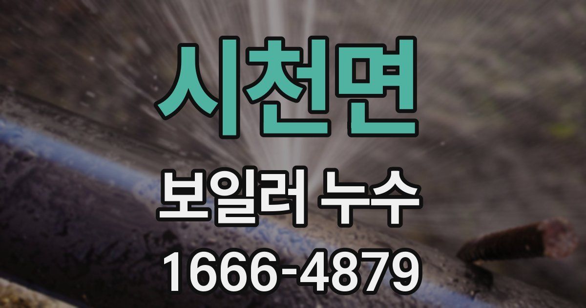 시천면 보일러 누수