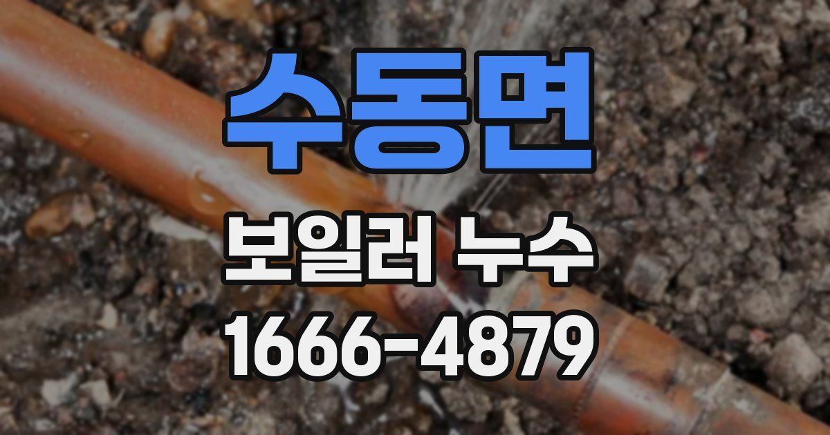 수동면 보일러 누수